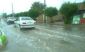 بارندگی مدارس ابتدایی شهرستان گناوه را تعطیل کرد