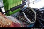 واژگونی اتوبوس حامل دانش آموزان در مشهد