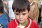 توزیع شیر در مدارس کشور با اولویت گذاری