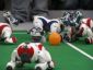 افتخار آفرینی تیم های روباتیک دبیرستان علامه حلی 4 در مسابقات بین المللی روبوکاپ آزاد ایران