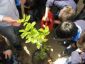 حضور معلمان محیط زیست در مدارس