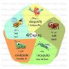 آموزش تصویری انگلیسی-Insects