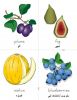 فلش کارت میوه ها-fruit 5
