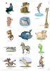 آموزش تصویری زبان انگلیسی-حیوانات 1