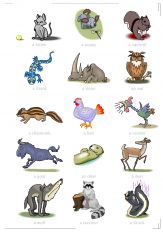 آموزش تصویری زبان انگلیسی-حیوانات 3