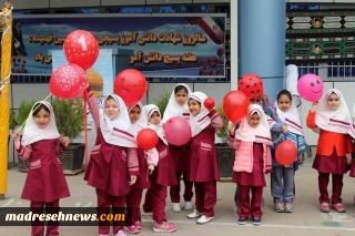 جزئیات تدوین نظام‌نامه بین‌المللی ایران در دوره ابتدایی